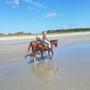 Meet your Posher, Debbie